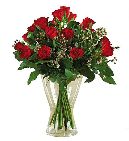 12 Red Long-Stem Roses